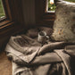 The Cozy: Organic Cotton Blanket - Cozy-hearted